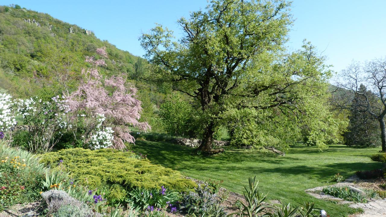 Logis Hotel-Restaurant La Mere Biquette Saint-Pons エクステリア 写真